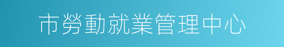 市勞動就業管理中心的同義詞