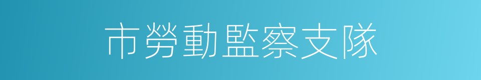 市勞動監察支隊的同義詞