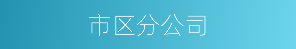 市区分公司的同义词