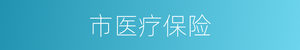 市医疗保险的同义词