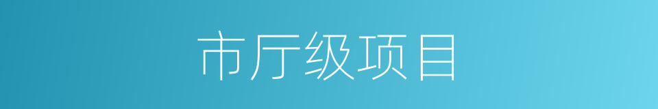 市厅级项目的同义词