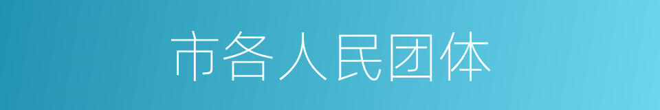 市各人民团体的同义词