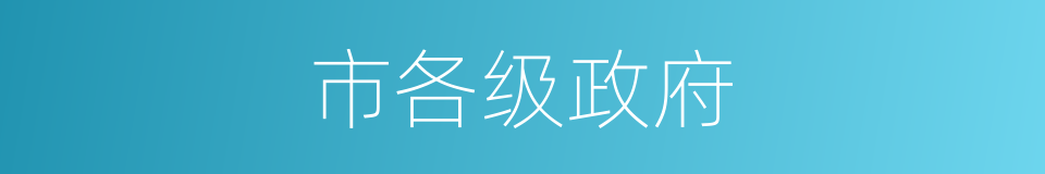 市各级政府的同义词