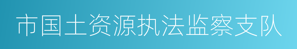 市国土资源执法监察支队的同义词