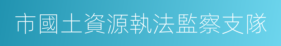 市國土資源執法監察支隊的同義詞