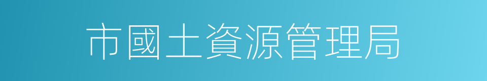 市國土資源管理局的同義詞
