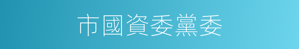 市國資委黨委的同義詞
