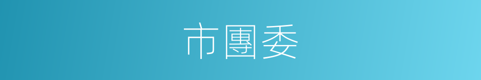 市團委的同義詞