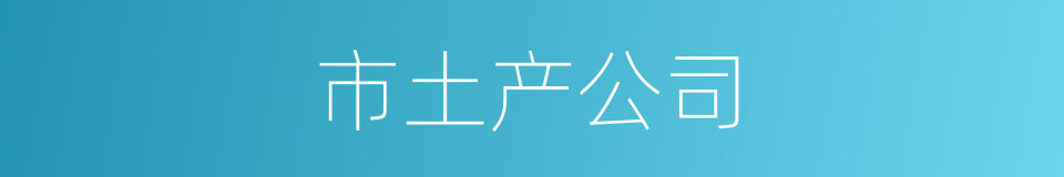 市土产公司的同义词