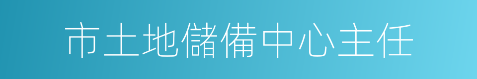 市土地儲備中心主任的同義詞