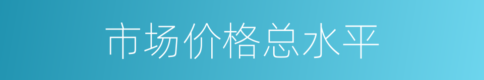 市场价格总水平的同义词
