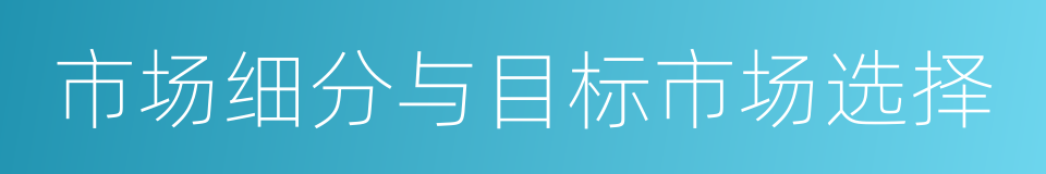 市场细分与目标市场选择的同义词