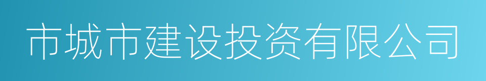 市城市建设投资有限公司的同义词