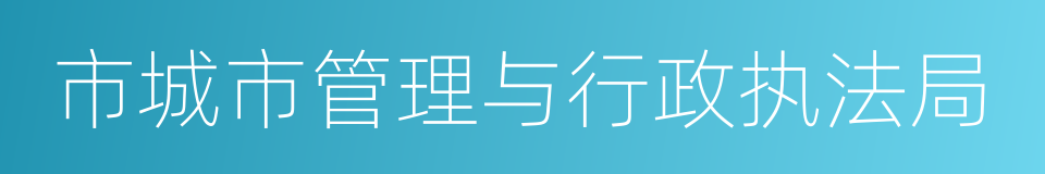 市城市管理与行政执法局的同义词