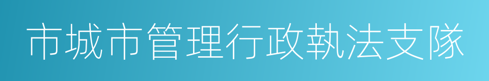 市城市管理行政執法支隊的同義詞