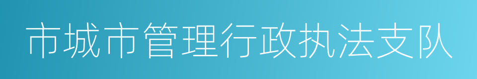 市城市管理行政执法支队的同义词