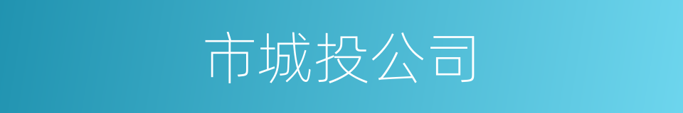 市城投公司的同义词