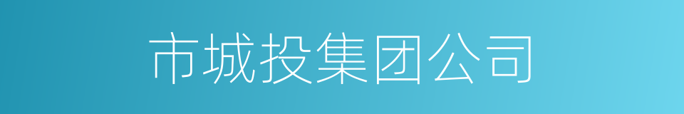 市城投集团公司的同义词