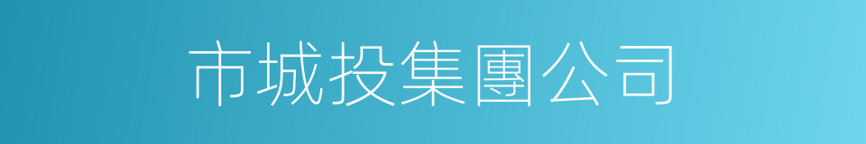市城投集團公司的同義詞