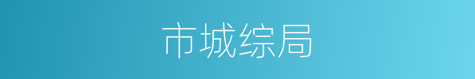 市城综局的同义词
