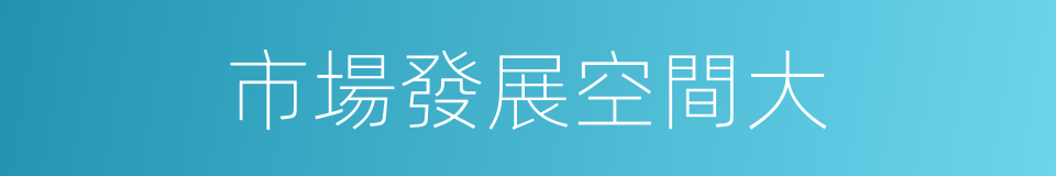 市場發展空間大的同義詞