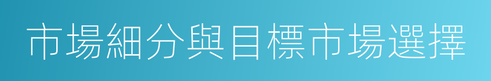 市場細分與目標市場選擇的同義詞