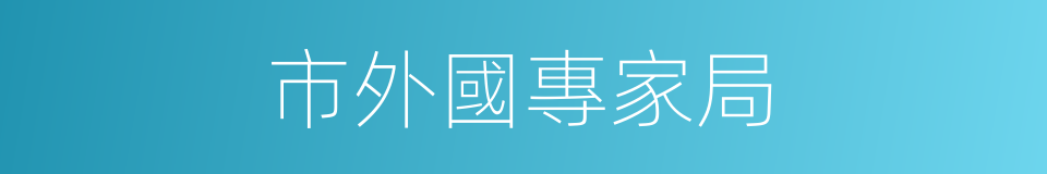 市外國專家局的同義詞