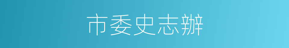 市委史志辦的同義詞