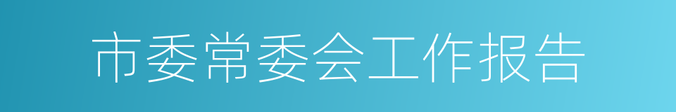 市委常委会工作报告的同义词