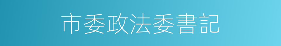 市委政法委書記的同義詞