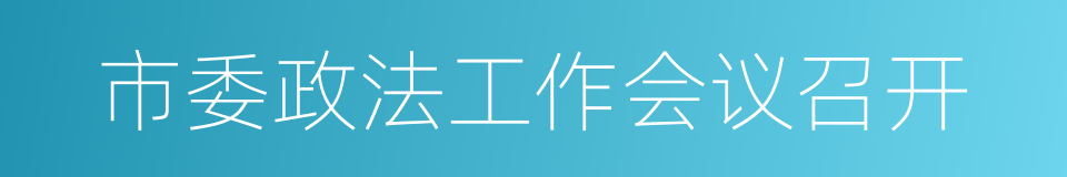 市委政法工作会议召开的同义词