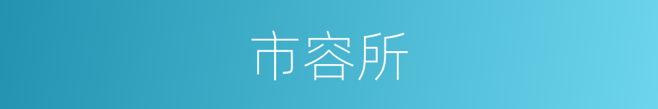市容所的同义词