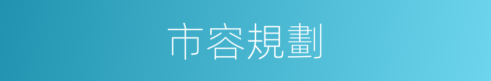 市容規劃的同義詞