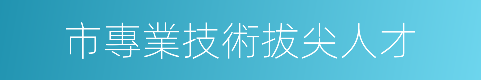 市專業技術拔尖人才的同義詞