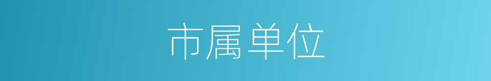 市属单位的同义词