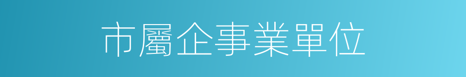 市屬企事業單位的同義詞