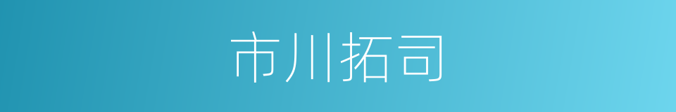 市川拓司的同义词