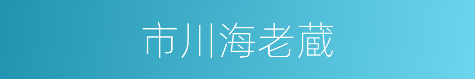 市川海老蔵的同义词