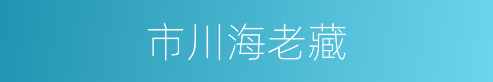 市川海老藏的同义词