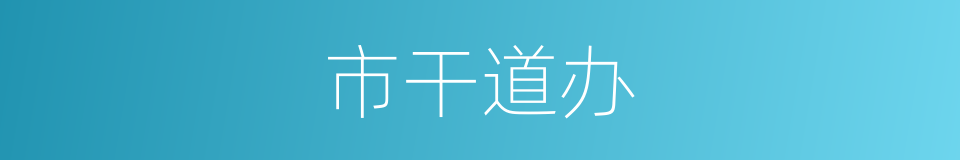 市干道办的同义词