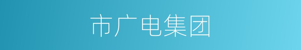 市广电集团的同义词