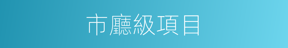 市廳級項目的同義詞