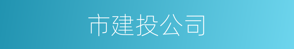 市建投公司的同义词