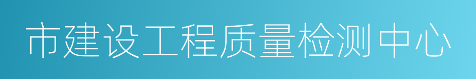 市建设工程质量检测中心的同义词