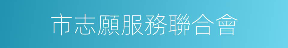 市志願服務聯合會的同義詞