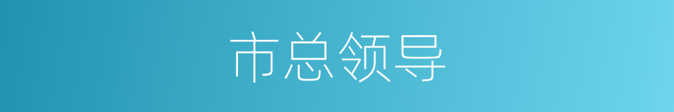 市总领导的同义词