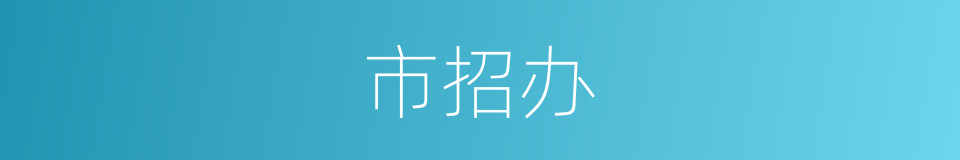 市招办的同义词
