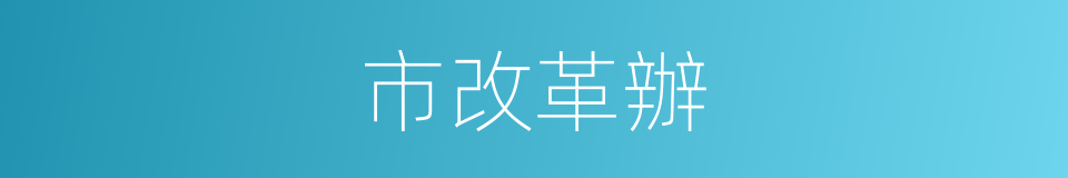 市改革辦的同義詞