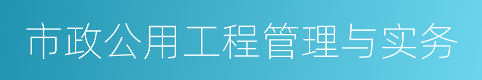 市政公用工程管理与实务的同义词