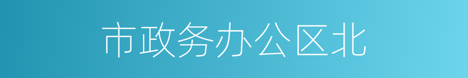 市政务办公区北的同义词